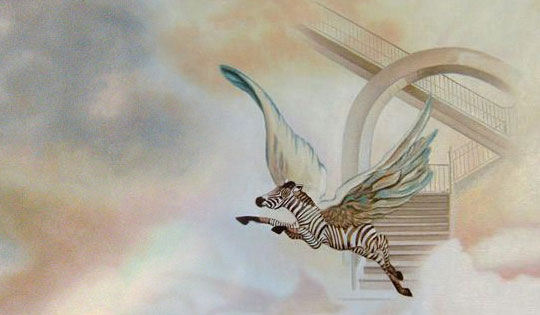 zebre